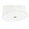Z-Lite Weston Pendant, 6-Light, 24 In.W x 24 In.H, Modern Gold/Cream 3502P24-MGLD - alternate 5